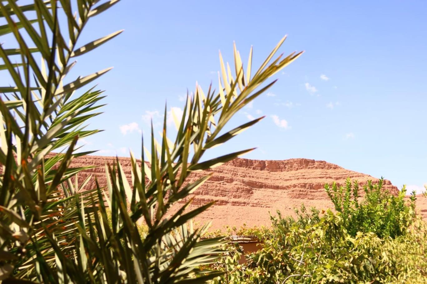Gite D'Etape Ziz Oasis Achbarou Exteriör bild