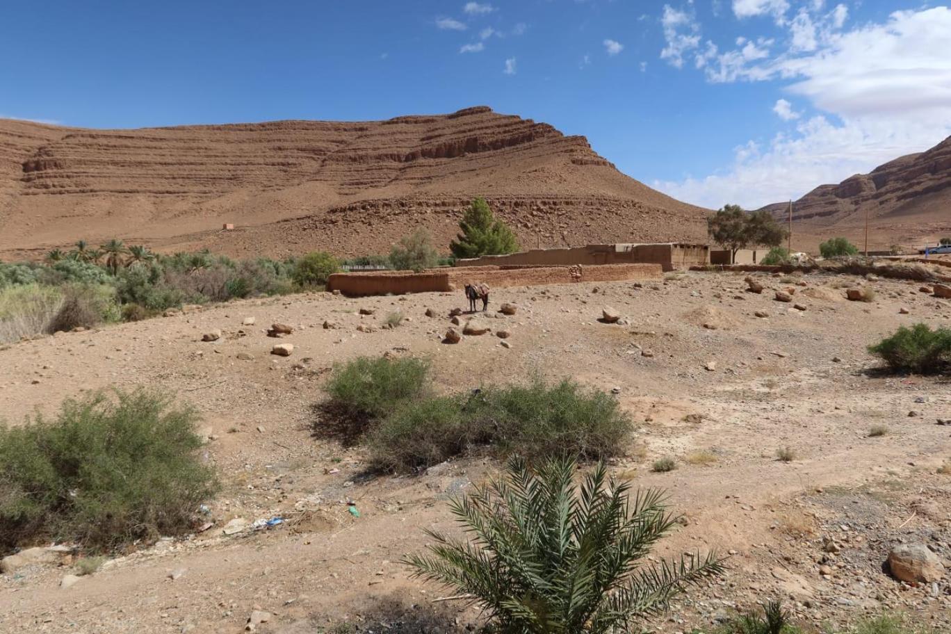 Gite D'Etape Ziz Oasis Achbarou Exteriör bild