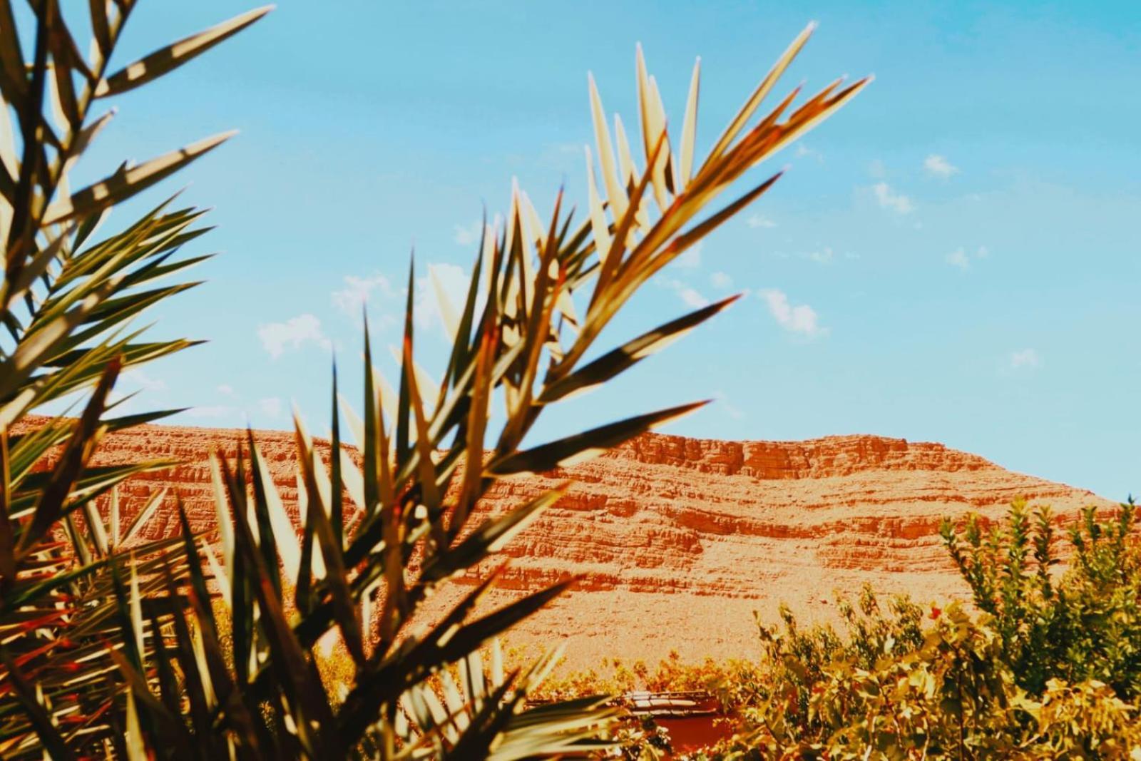 Gite D'Etape Ziz Oasis Achbarou Exteriör bild