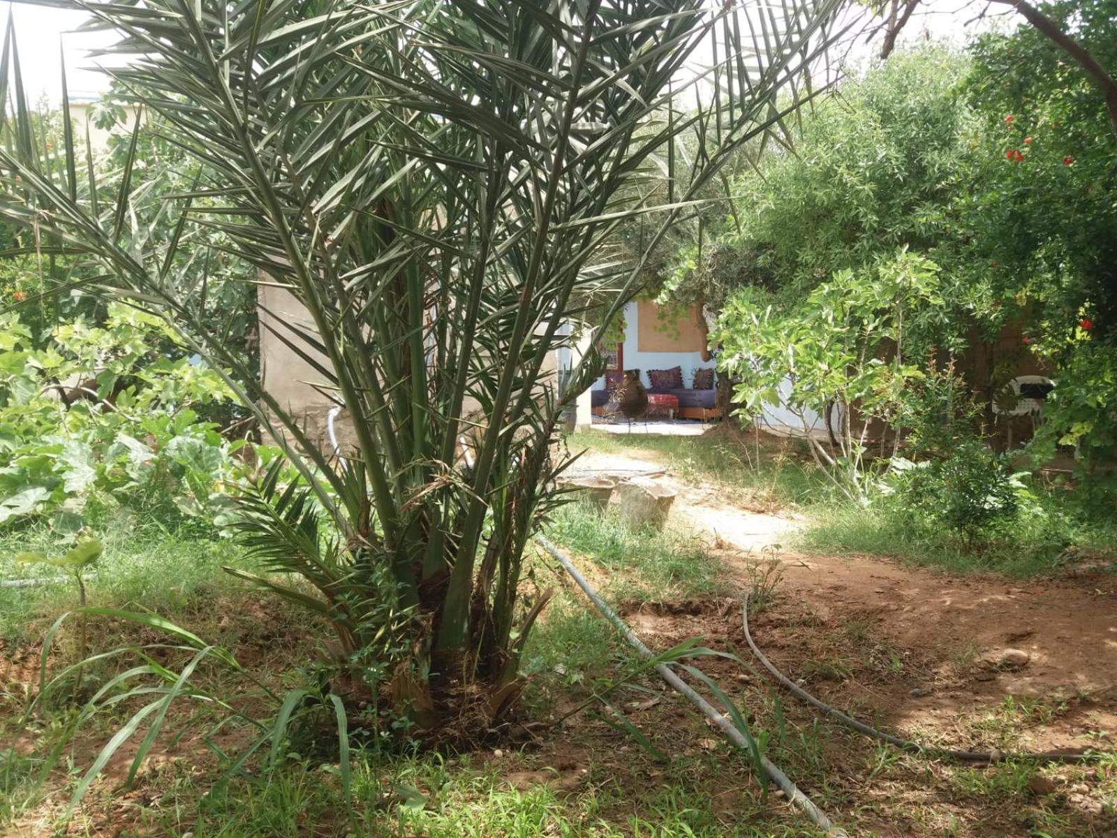 Gite D'Etape Ziz Oasis Achbarou Exteriör bild